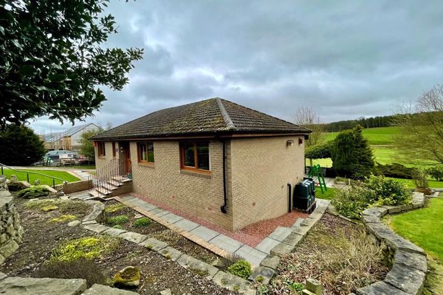 Thumbnail Bungalow for sale in New - Asheytele, Millrig Road, Wiston