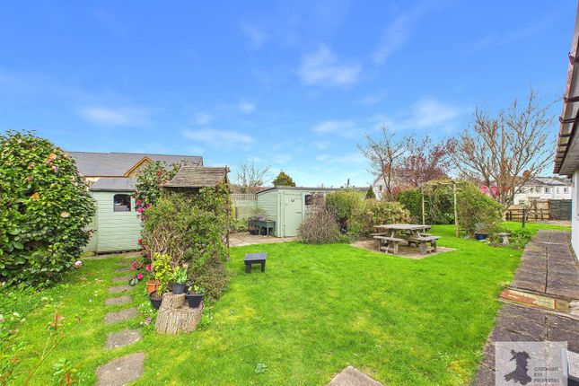 Llwynon, Penrhiwllan, Llandysul photo 2