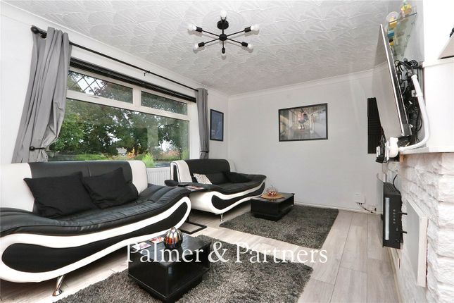 Maidenhall Green, Suffolk photo 2