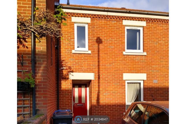 Thumbnail Terraced house to rent in Armes Street, Norwich