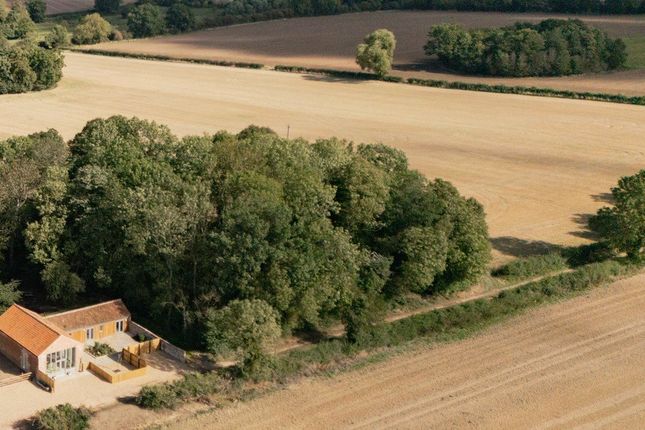 Aerial Image