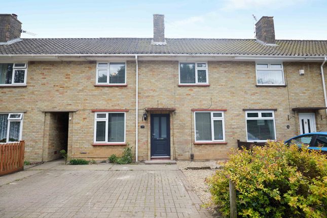 Thumbnail Terraced house to rent in South Park Avenue, Norwich