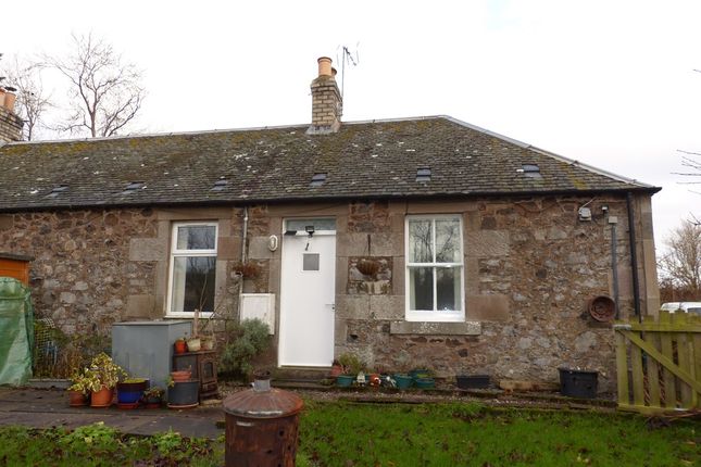 Homes To Let In Glencarse Rent Property In Glencarse Primelocation