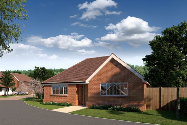 Thumbnail Detached bungalow for sale in The Wintergreens, Sayers Common, Hassocks