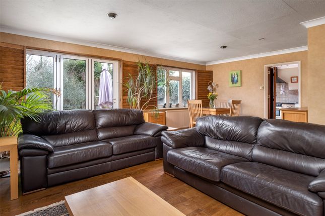 Thumbnail Bungalow for sale in Trindles Road, South Nutfield, Redhill, Surrey