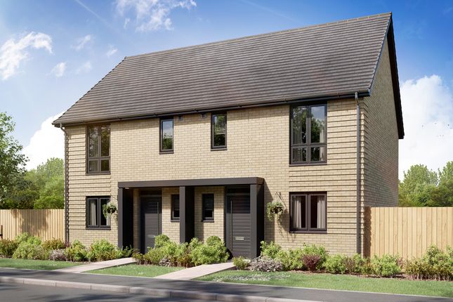Thumbnail Semi-detached house for sale in "The Danbury" at Long Green, Cressing, Braintree