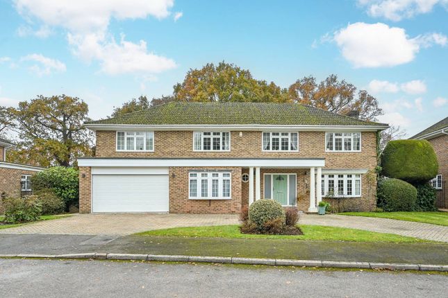 Thumbnail Detached house for sale in Birch Grove, Pyrford
