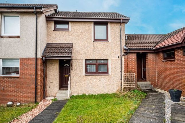 Thumbnail Terraced house for sale in Malleable Gardens, Motherwell