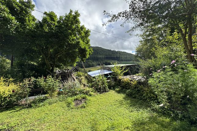Tanyfron,, Corris, Gwynedd photo 3