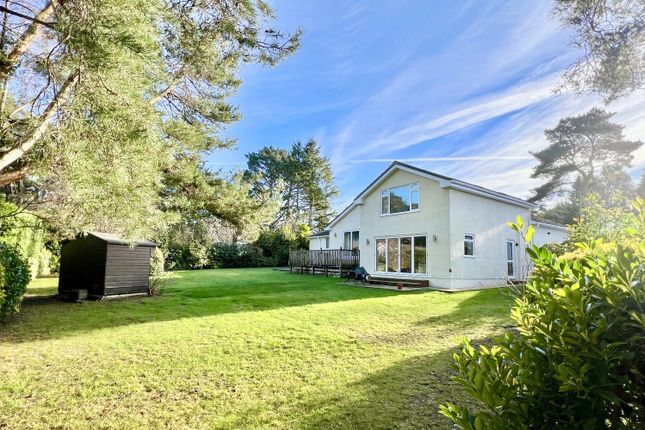 10 Ashley Drive North, Ringwood photo 2