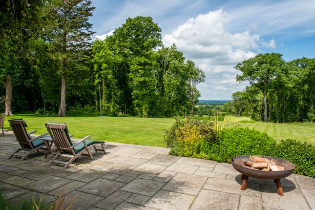 Terrace And View