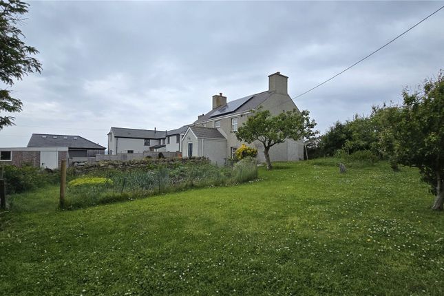 External