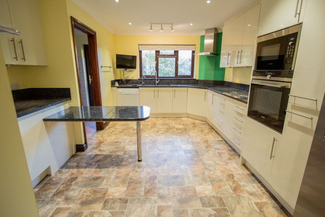 Woodlands, Brackendown, Ottery St Mary photo 3