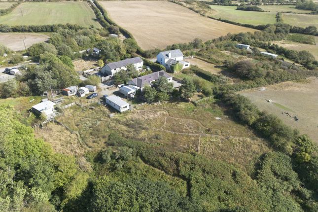 2 Wernllaeth Cottages, Llanon photo 3