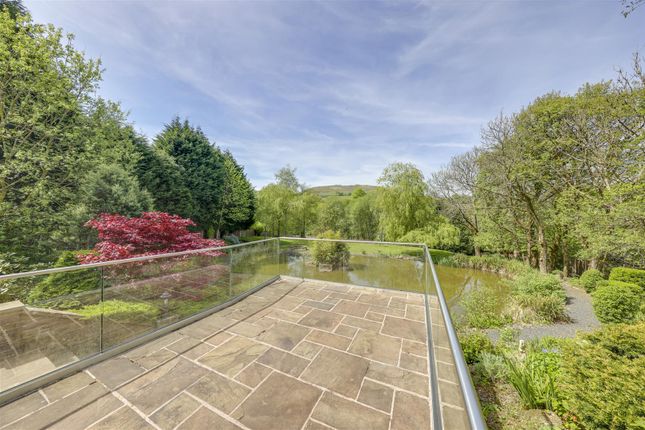 Lower Rear Patio