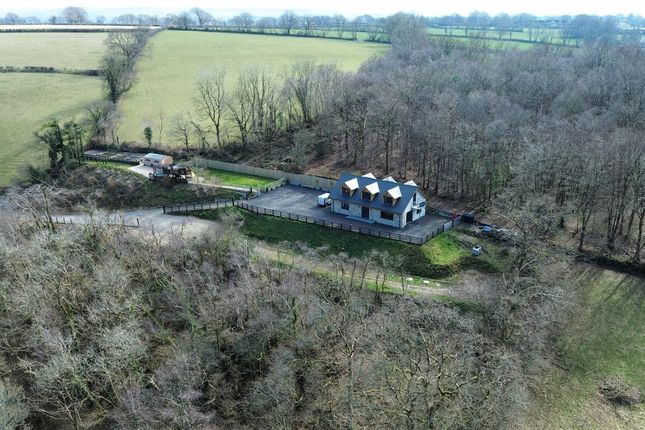 Hazelwood, Capel Dewi, Llandysul photo 3