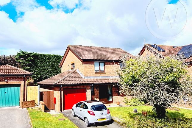 Thumbnail Detached house for sale in Westholme Road, Belmont