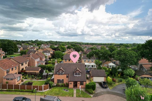 Dji_0118-Edit.Jpg