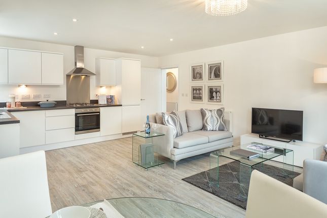 Plot 6 The Guelder,, Ingatestone Grove, Ingatestone photo 2