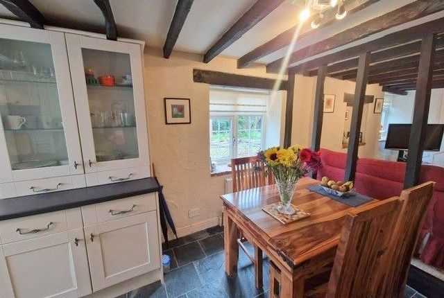 Globe Cottages,2, The Strand, Exmouth photo 3