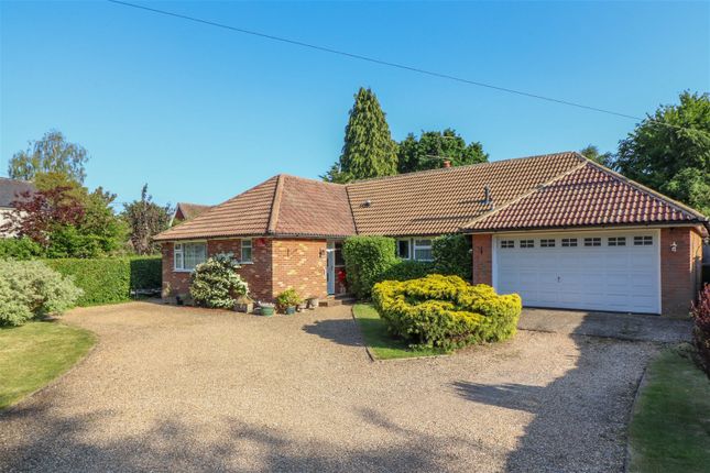Thumbnail Bungalow for sale in Moulin, Petersfield Road, Ropley, Alresford