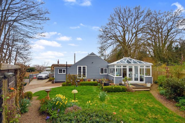Detached bungalow for sale in Horns Cross, Northiam, Rye