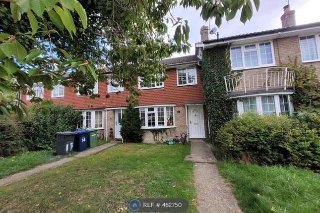 Front View With Garden