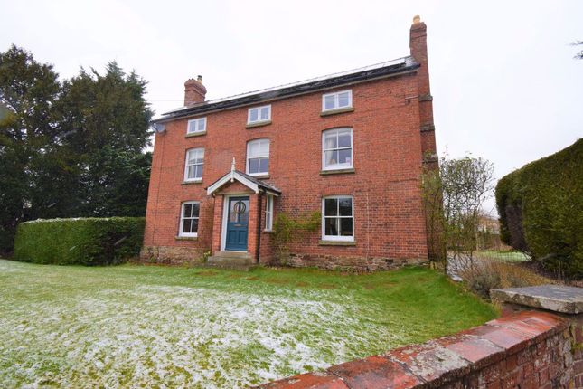 Thumbnail Detached house to rent in Tarrington, Hereford
