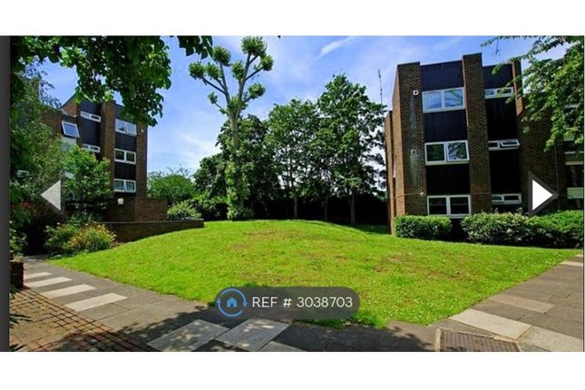 Milton Court, Strawberry Hill photo 5