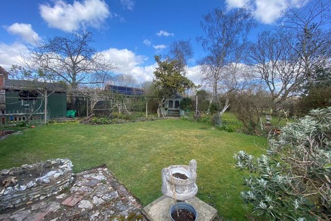 Enclosed Rear Garden