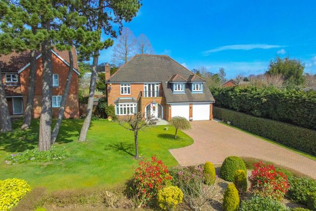 Image of 8 Petworth Drive, Sheffield, S11 9QU