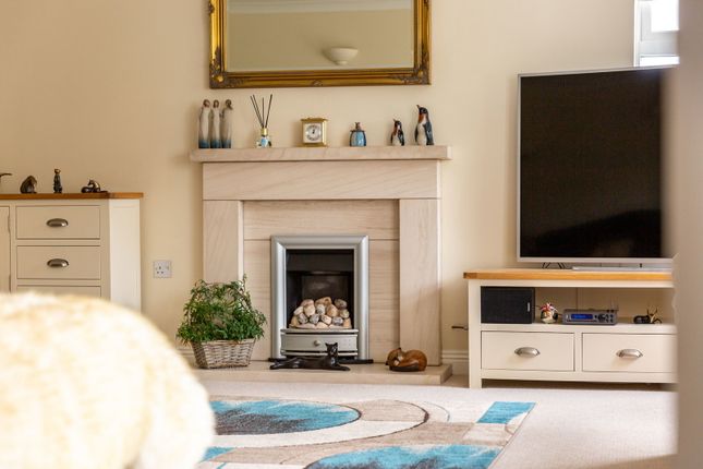 5 Speedwell Close, Bideford photo 4