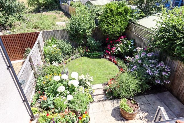 View Onto Garden