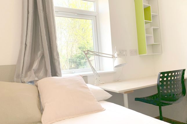 A Bright And Tidy Single Bedroom Featuring A Comfo...
