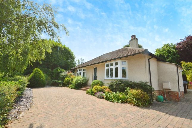 Thumbnail Bungalow for sale in Elm Road, Bishops Stortford, Hertfordshire