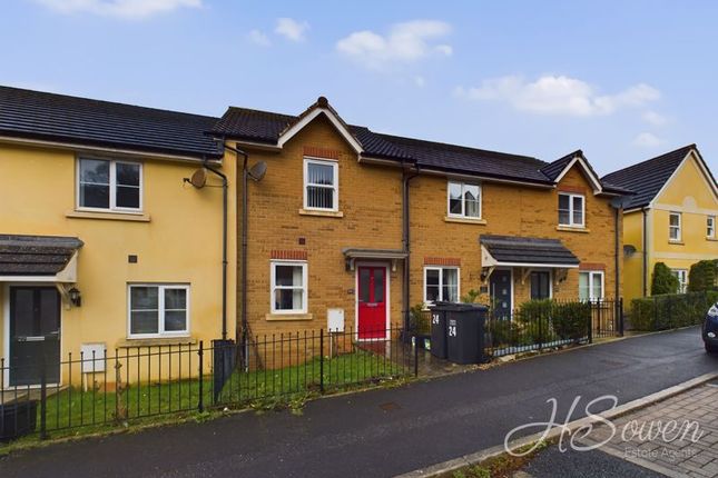 Thumbnail Terraced house for sale in Darwin Crescent, Torquay