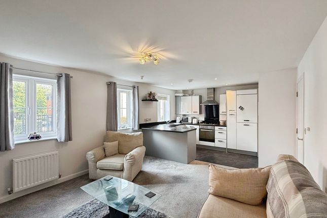 Lounge/Kitchen/Diner