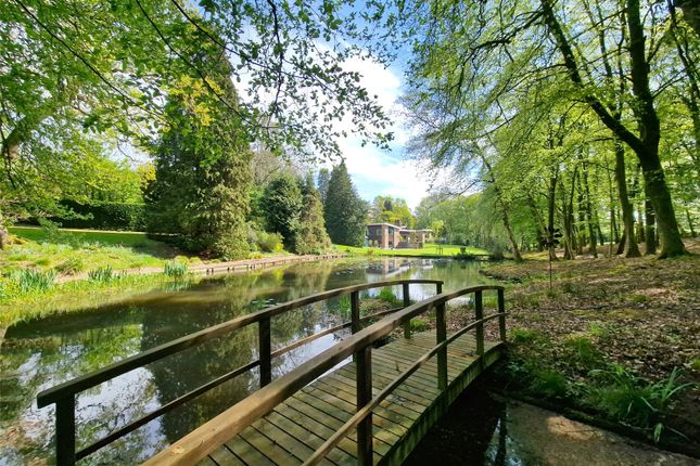 Waterside View