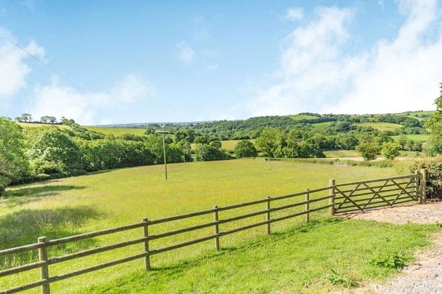 Pasture Field