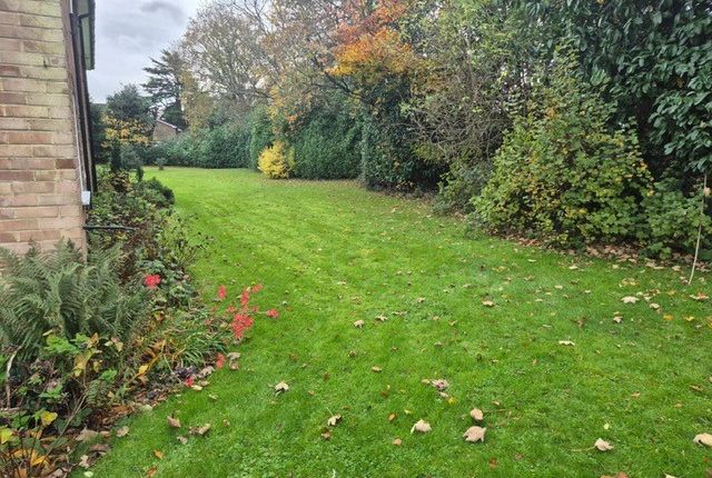 23, Caterham photo 5
