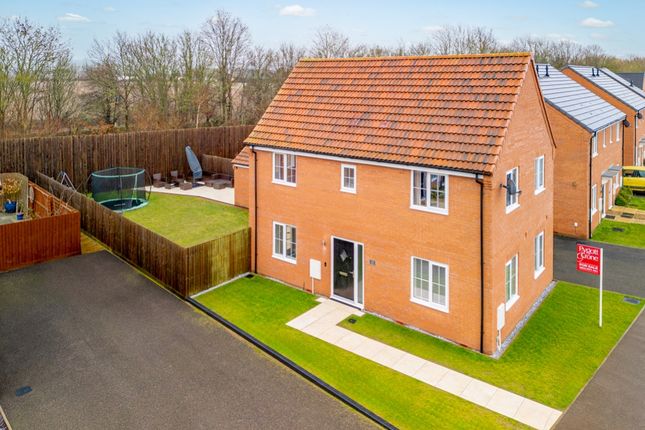 Thumbnail Detached house for sale in Low Lane, Holbeach, Spalding