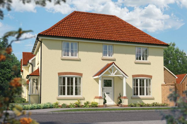 Thumbnail Semi-detached house for sale in "Spruce" at Wookey Hole Road, Wells