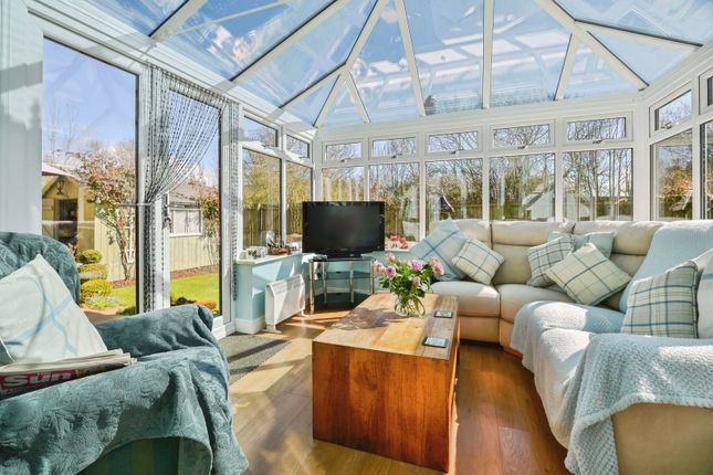 21, Elm Tree Lane, Bedale photo 3