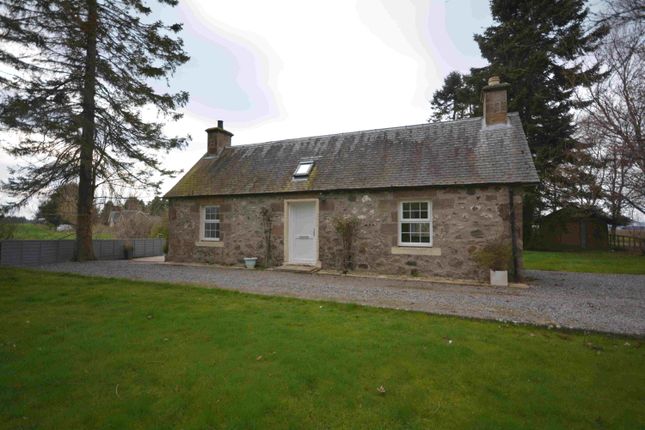 Detached bungalow to rent in Culblair Farm Cottages, Dalcross, Inverness IV2