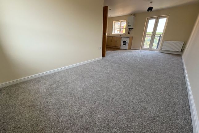 41 Cotton Court, River View, NORTHAMPTON photo 4