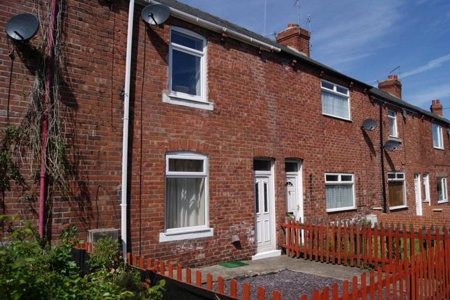 Terraced house to rent in Larch Terrace, Langley Park, Durham DH7