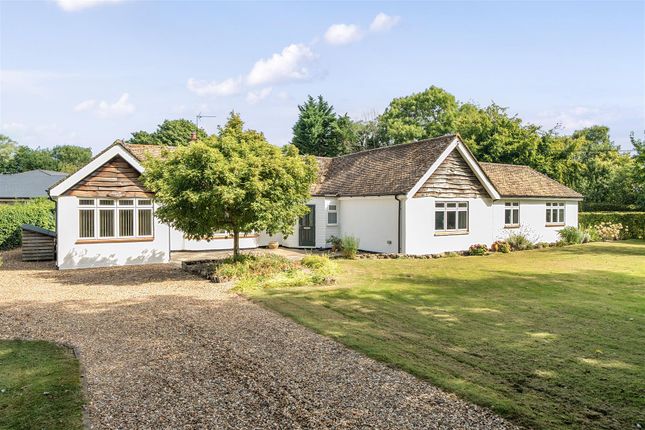 Thumbnail Detached bungalow for sale in School Lane, Bolnhurst, Bedford