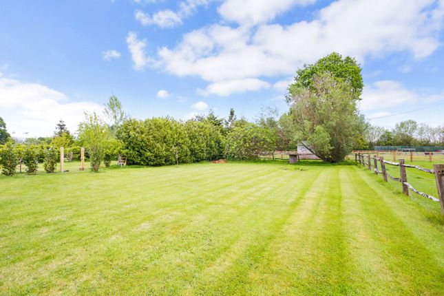 Prestwick Oak, Prestwick Lane, Chiddingfold photo 4