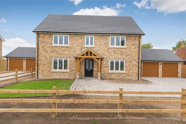 Thumbnail Detached house for sale in Fowlmere Road, Foxton, Cambridge