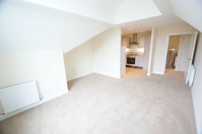 Whitetree House (F4), North View photo 4